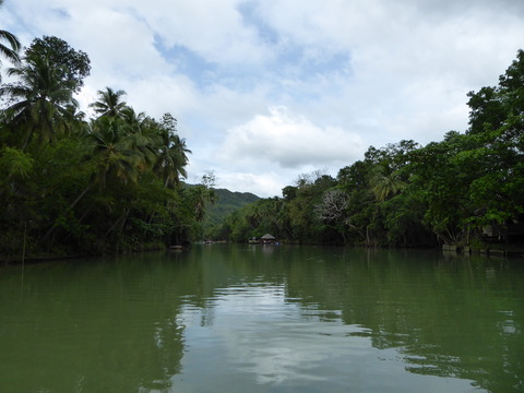Loboc River Lunch Cruise (7)