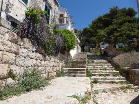 View Point (3)