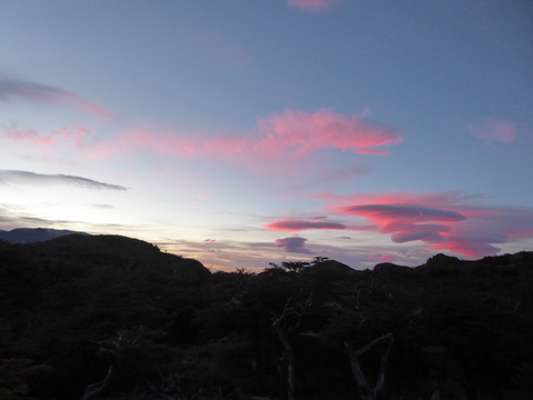 Fitz Roy (23)