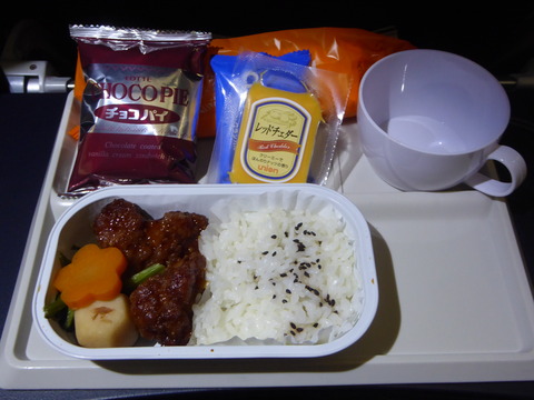 Fiji Airways (6)
