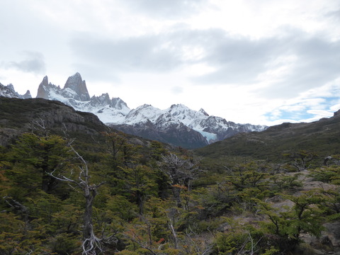 Fitz Roy (108)