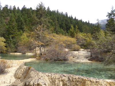 迎賓池 (1)
