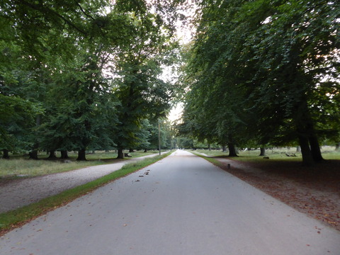 シカ公園 (2)