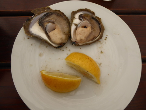昼食 (8)