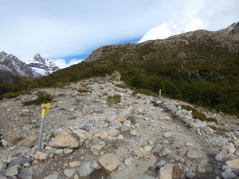 Fitz Roy (205)