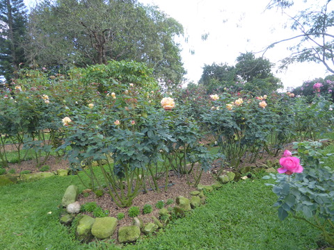 Bhubing Palace (48)