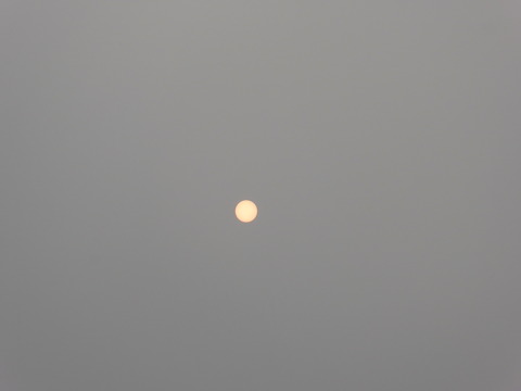 太陽