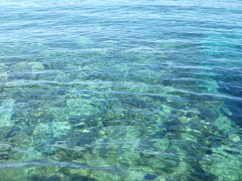 Blue Laguna (7)