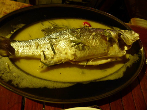 夕食 (8)