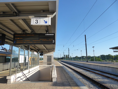 Lamarosa (1)