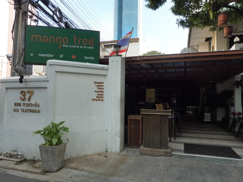 ㉑Mango tree (7)