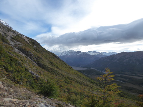 ④Fitz Roy (213)