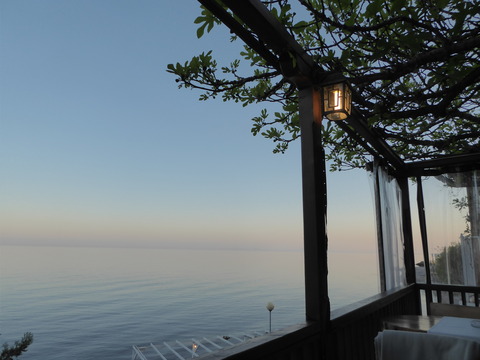 夕食 (4)