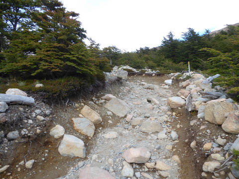 Fitz Roy (202)