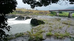 IMG_20170731_141206