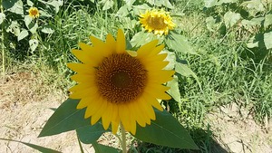 IMG_20170823_101113