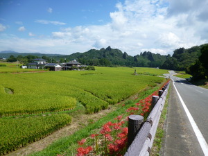 P1020478