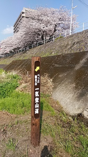 IMG_20180403_084422