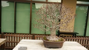 IMG_20180225_153603