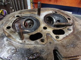 P4200019