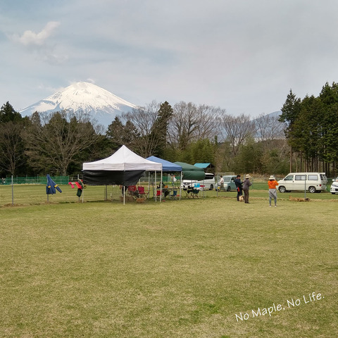 2017041602