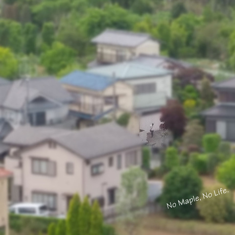2017050701