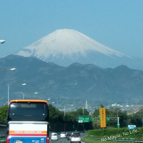 2017041601