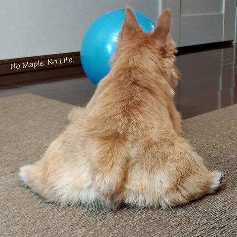 2017060401