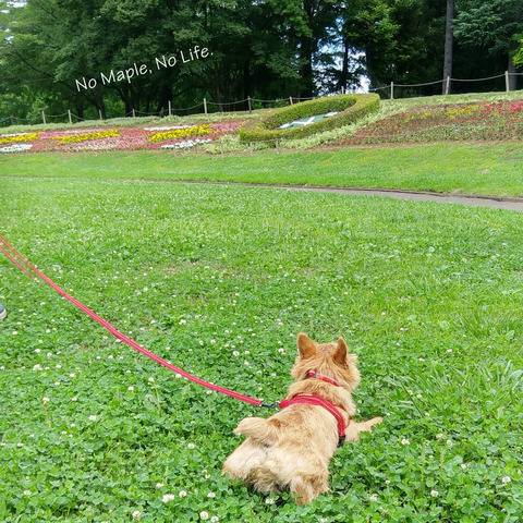 2017070201