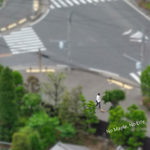 2017050703