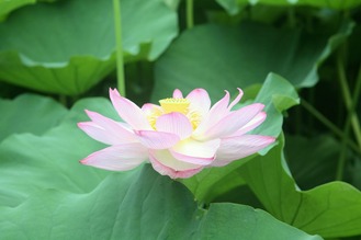 IMG_7811 (2)