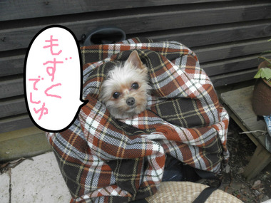 BlogPaint