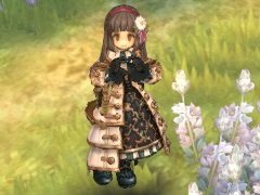 フェンサー小