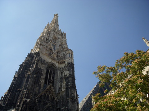 DSCN3267