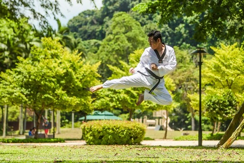 martial-arts-2924161_960_720