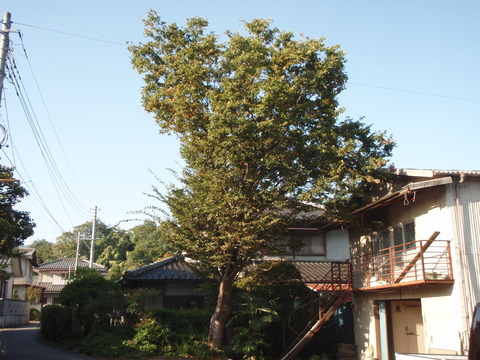 P9280615