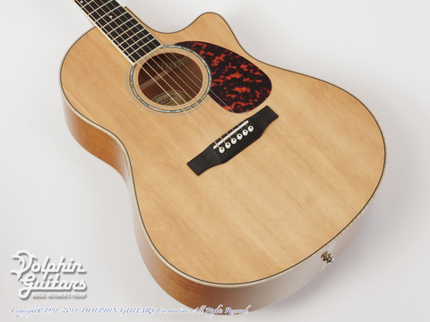 ギター Larrivee 2004 LV-19 Special Vine Edition ギター Larrivee