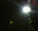 7f6a22c8.jpg