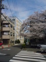 9ff27f30.jpg