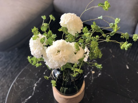 写真 2019-05-12 14 52 37