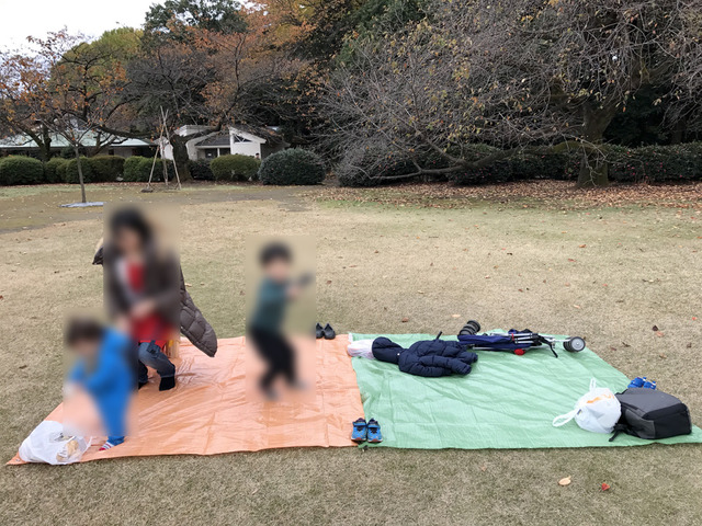 シート