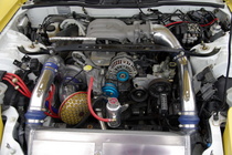IMGP6826