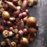 1_I_Onions_v3-025