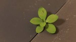 Unknown-2
