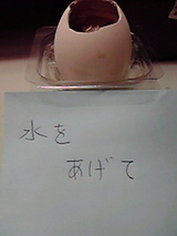 32d3d04c.jpg