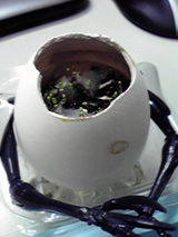 596858e3.jpg