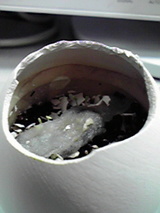 8c4599be.jpg