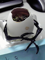 cc1f5e39.jpg