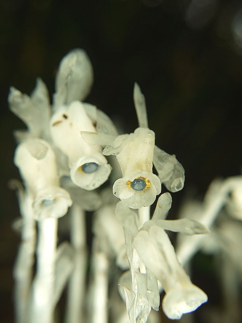 P1130396