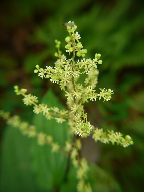 P1130387